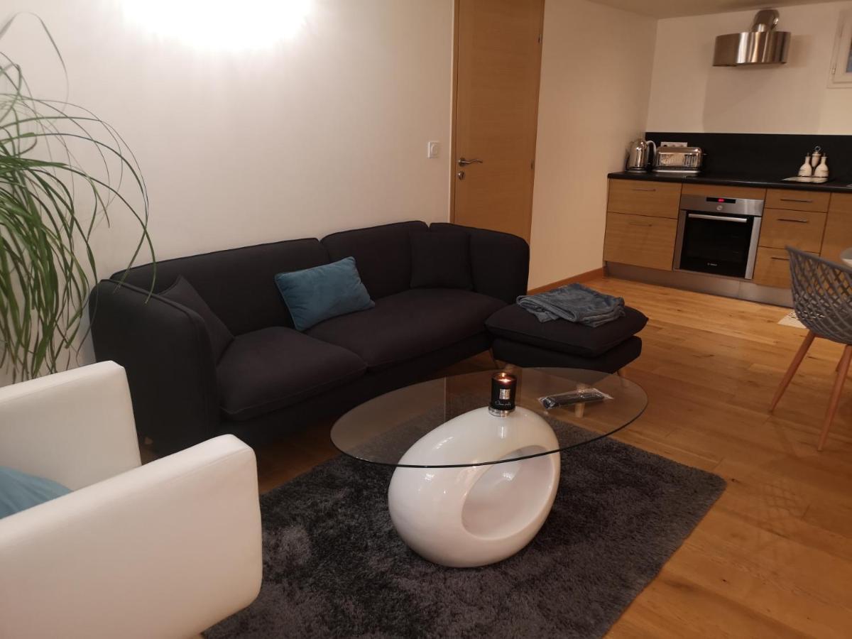 Tres Bel Appartement Avec Vue Sur Les Montagnes Saint Ismier Exterior photo